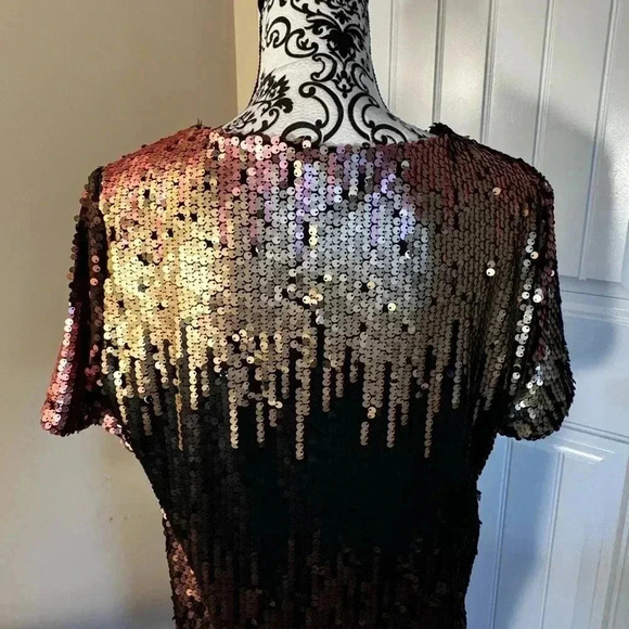 Ombré Sequined Dress - Picture 5 of 9